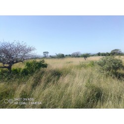 Space for sale in Katembe